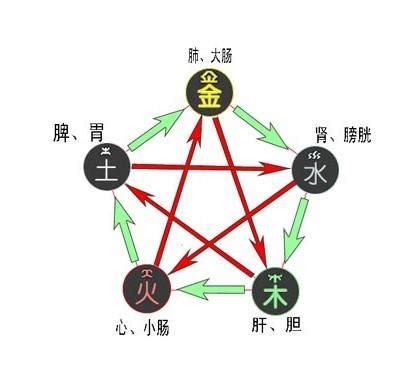 五行 胃|人身五行